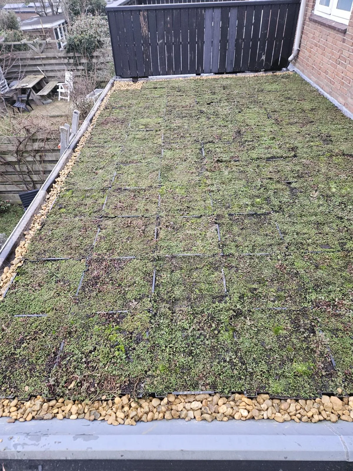 Sedum groendak met grindrand op een plat dak van een woning in Alkmaar